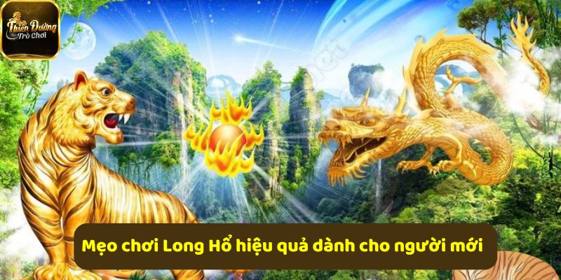 Mẹo chơi Long Hổ đơn giản giúp người mới dễ thắng hơn
